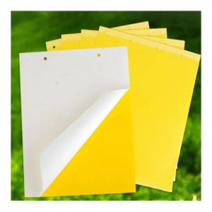 Żółte tablice lepowe -  idealne do zwalczania mszyc, miniarek, mączlików, wciornastków i ziemiórek.