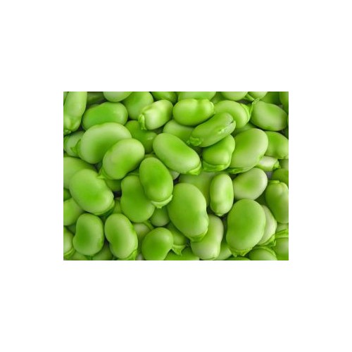 Bób Superaguadulce 5kg - sprawdzona i polecana odmiana