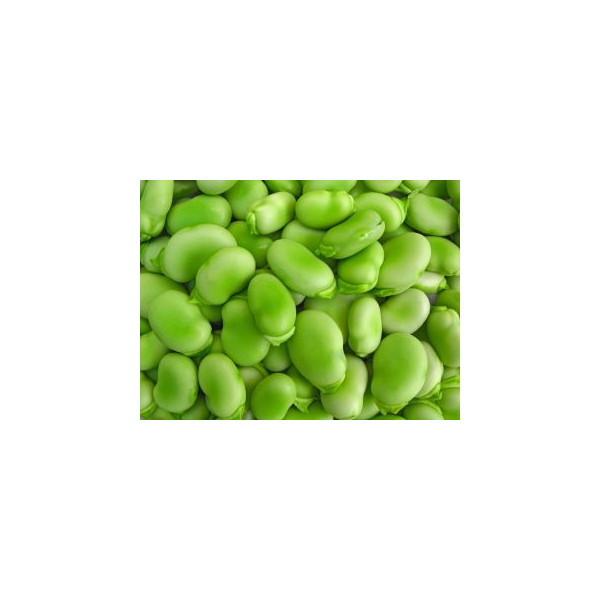 Bób Superaguadulce 5kg - sprawdzona i polecana odmiana
