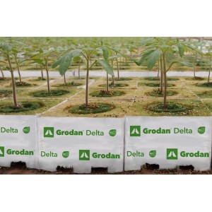 Kostka z wełny mineralnej Grodan Delta (2 otwory) - przykład