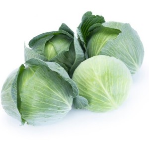 Kapusta Biała DULCIMA F1 2 500n. Nowa odmiana kapusty białej