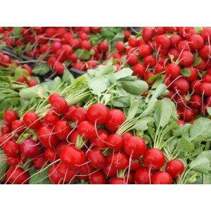 Rzodkiewka Escala owoce 250gr