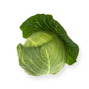 Kapusta biała Cilema F1 owoc