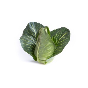 Kapusta biała Lincma F1- kapusta stożkowa