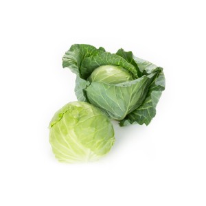 Kapusta biała Manessa F1 wygląd