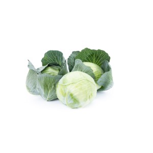 Kapusta biała Missourima F1 - wygląd