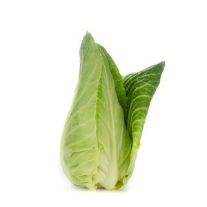 Kapusta biała Piccolima F1 wygląd