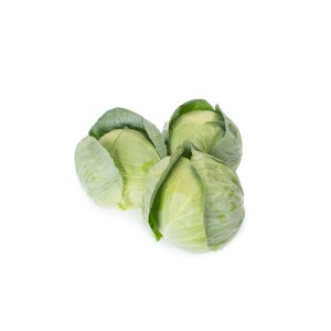 Kapusta biała Secoma F1 wygląd