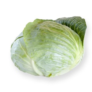 Kapusta biała Septima F1 wygląd