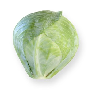 Kapusta biała Storema F1 wygląd