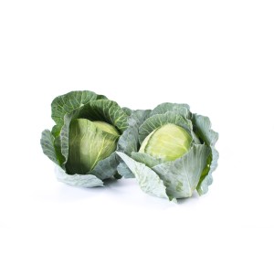 Kapusta biała Topma F1 wygląd