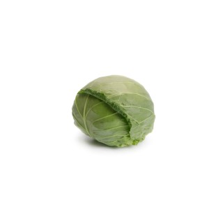 Kapusta biała Zarissima F1 wygląd