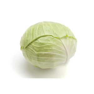 Kapusta biała Zuleima F1 wygląd