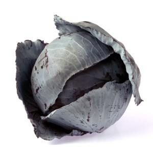 Kapusta czerwona Futurima F1 wygląd