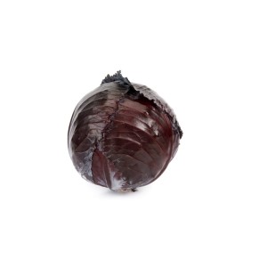 Kapusta czerwona Rexoma F1 wygląd