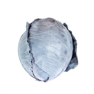 Kapusta czerwona Rodima F1 wygląd