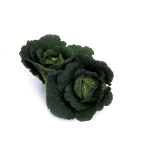 Kapusta włoska Madlene F1 wygląd