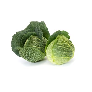 Kapusta włoska Maurice F1 wygląd