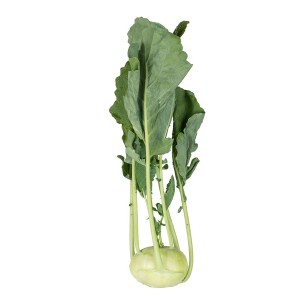 Kalarepa Alme F1 wygląd