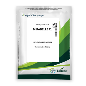 Nasiona ogórka Mirabelle F1