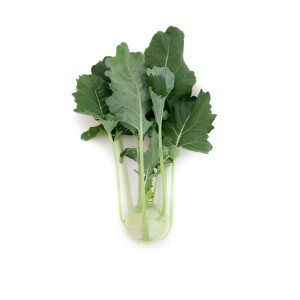 Kalarepa Eltville F1 wygląd