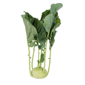 Kalarepa Reno F1 wygląd