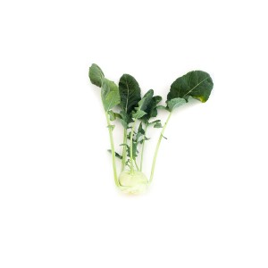 Kalarepa Segura F1 wygląd