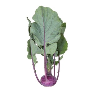 Fioletowa Kalarepa Ukza F1