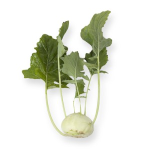 Kalarepa Templin F1 wygląd