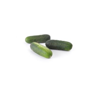 Ogórek partenokarpny Gershwin F1 wygląd ogórek gruntowy