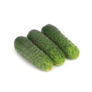 Ogórek partenokarpny Karaoke F1 wygląd