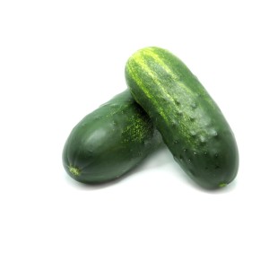 Ogórek partenokarpny Puccini F1 wygląd ogórka gruntowego