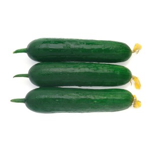 Ogórek szklarniowy Deltastar F1(mini) wygląd