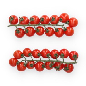 Pomidor cherry Hyrule F1