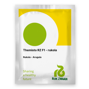 Rukola Themisto- nasiona rukoli