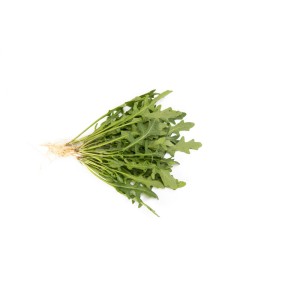 Rukola Sinope