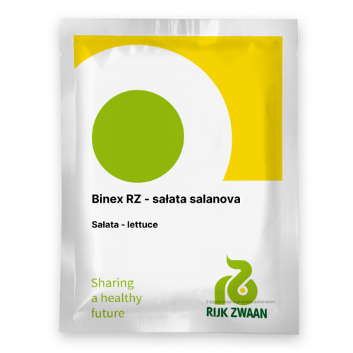 Sałata salanova Binex