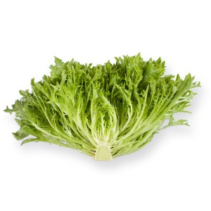 Nasiona sałaty salanova Excite