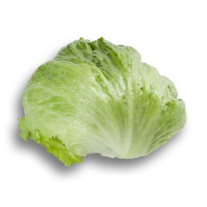 Sałata krucha Ikebanas wygląd