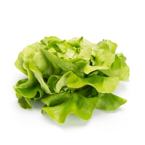 Sałata masłowa Carasco wygląd