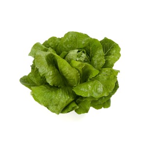 Sałata rzymska Victorinus wygląd