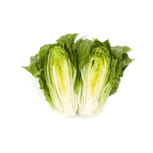 Sałata rzymska Victorinus przekrój