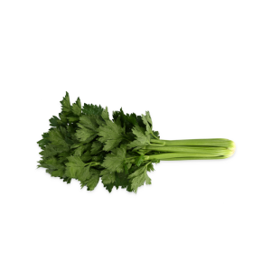 Seler naciowy Girisha F1 wygląd