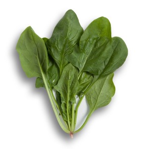 Nasiona szpinaku Boa