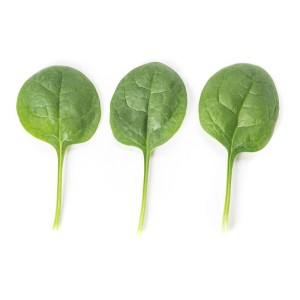 Nasiona szpinaku Goanna