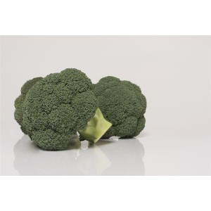 Brokuł Covina F1 wygląd