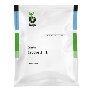 Cebula Crockett F1