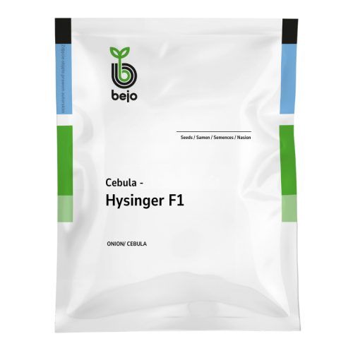 Cebula żółta Hysinger F1