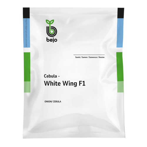 Cebula biała White wing F1