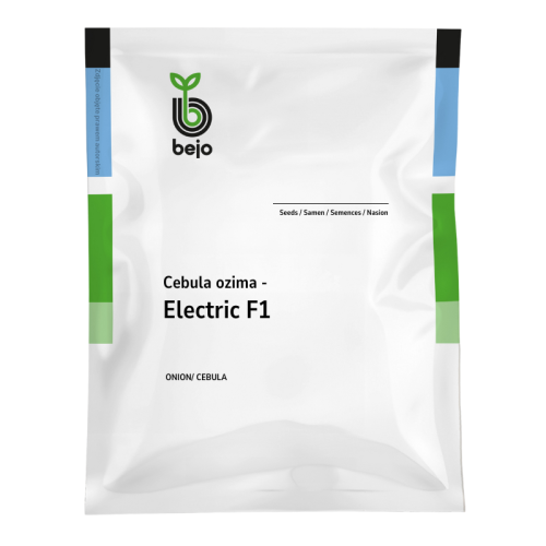 Cebula ozima Electric